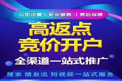 百度竞价推广成功案例解析